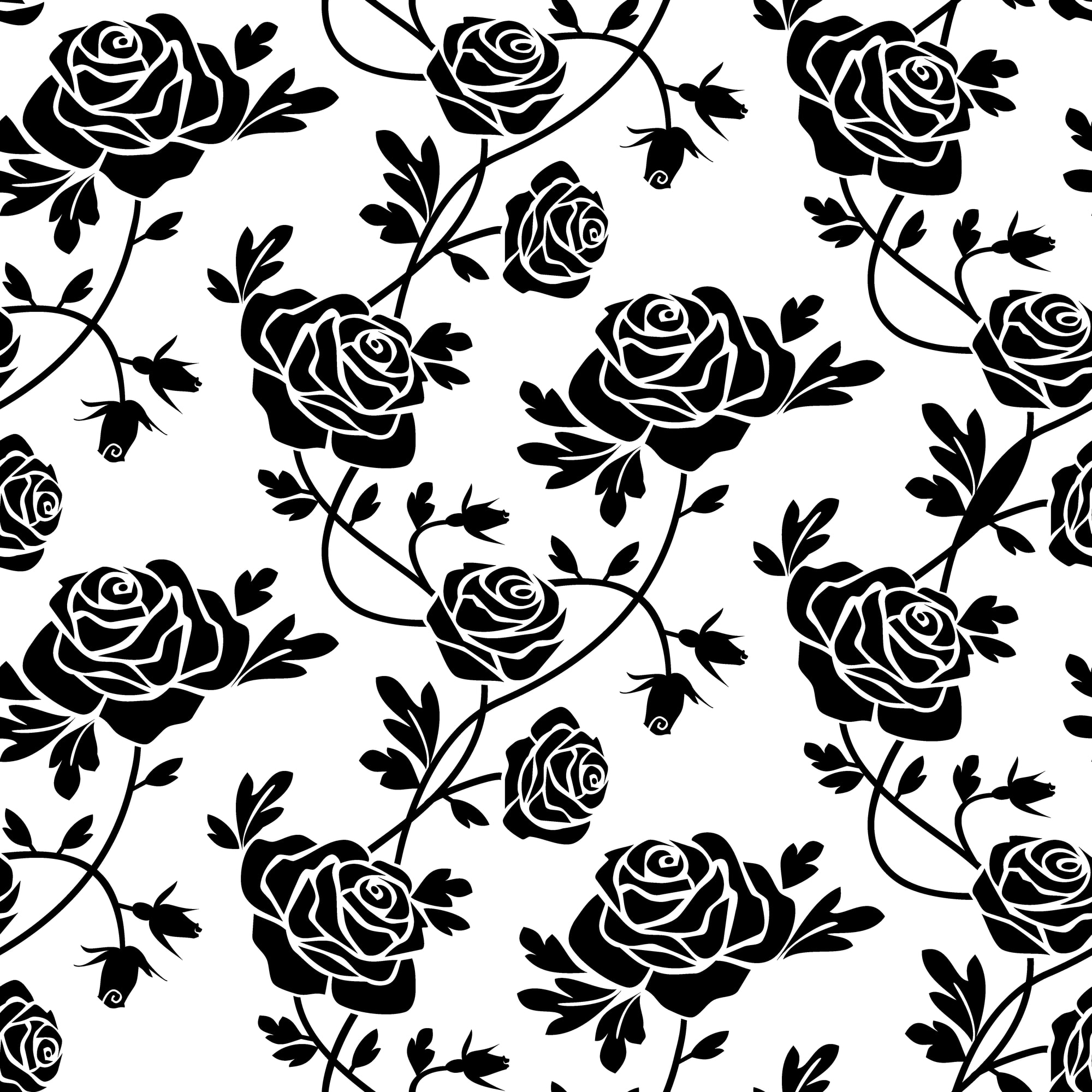 Black roses at white