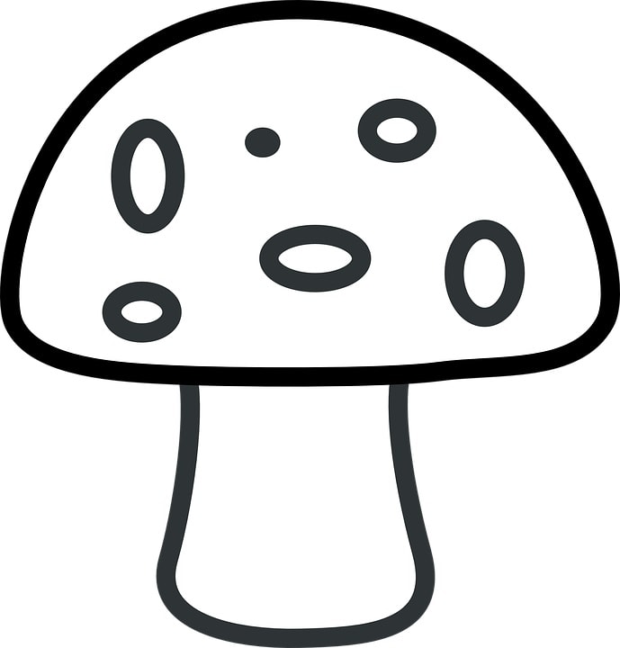 Mushroom vector