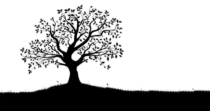 Tree Silhouette, Black and White Vector Shape