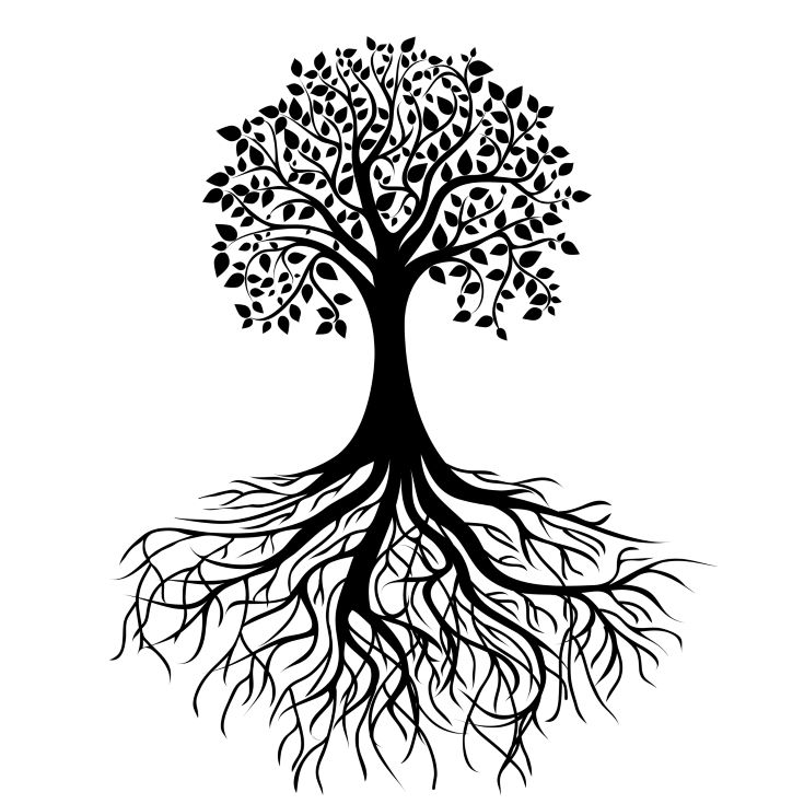 whole black tree with roots isolated white background vector