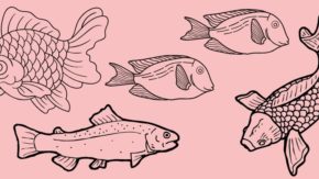 15 Woodburning Fish Patterns You Need To Try