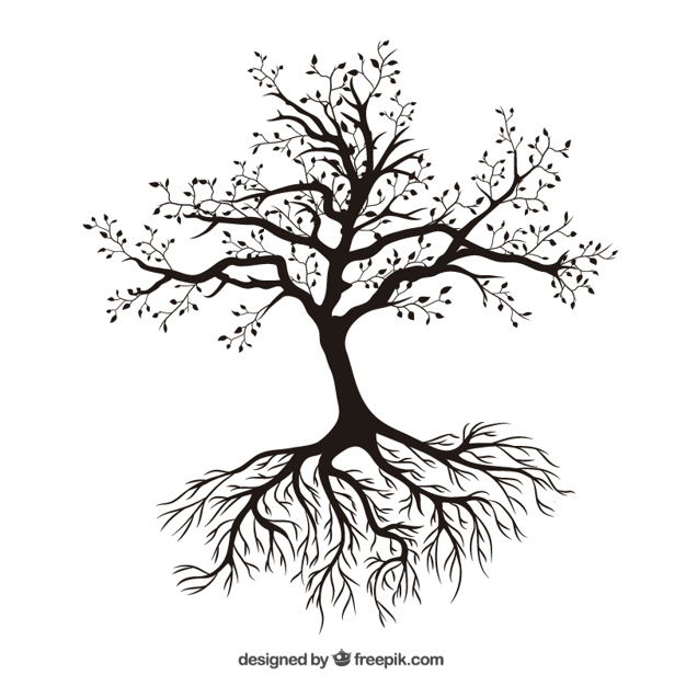 Tree with roots Free Vector