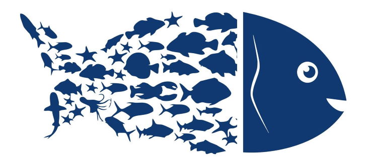 Fish logo. Blue symbol of fish on a white background.