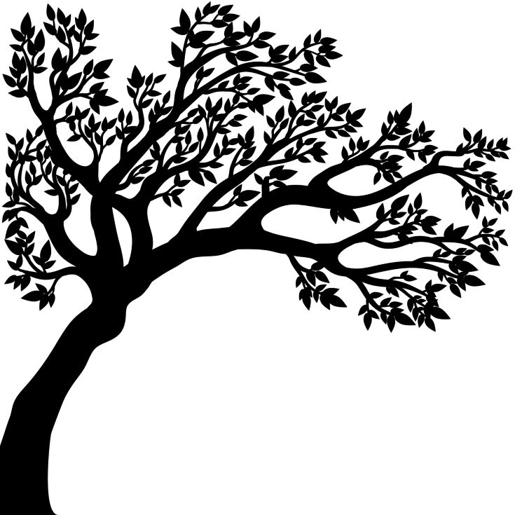 vector illustration of the tree silhouette with leaves