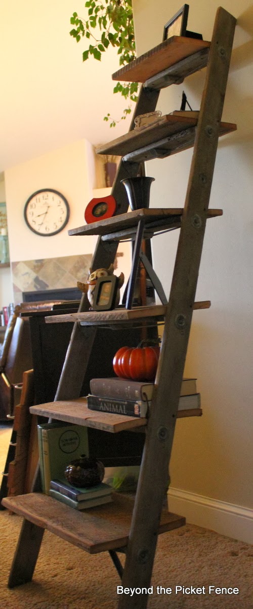 21 Perfect DIY Ladder Bookshelf & Bookcase Ideas