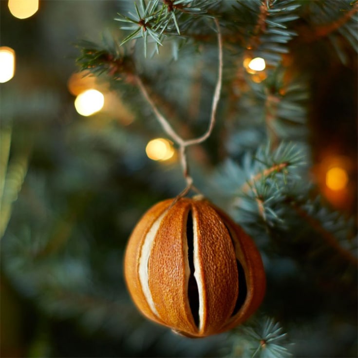 Dried Fruit Decorations