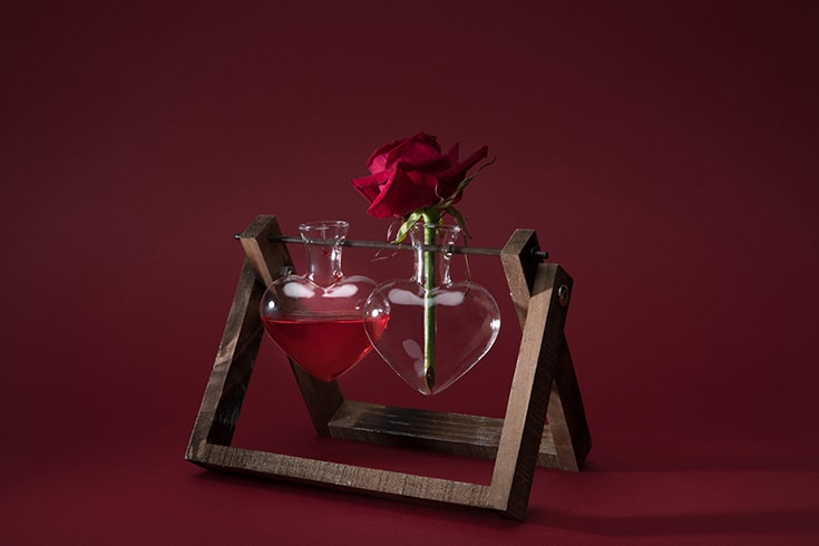 Red rose in heart shaped vase and vase with love elixir on red