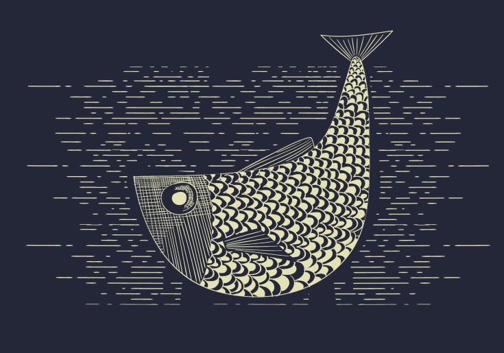 This Graphic Design Inspired Fish