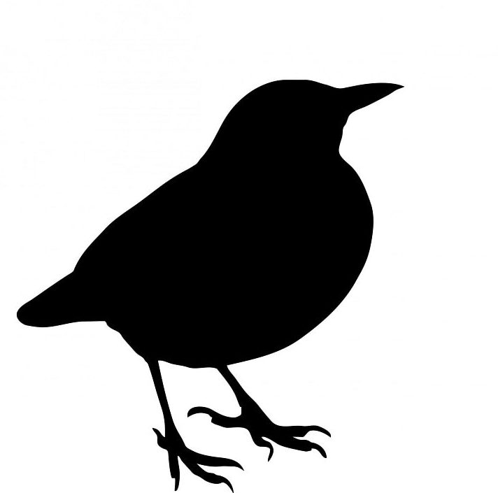 Black silhouette of a blackbird on white background