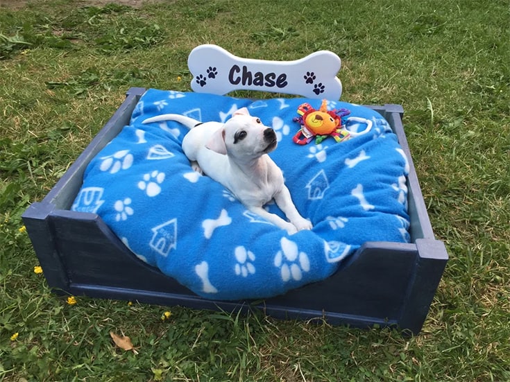 Wooden Dog Bed