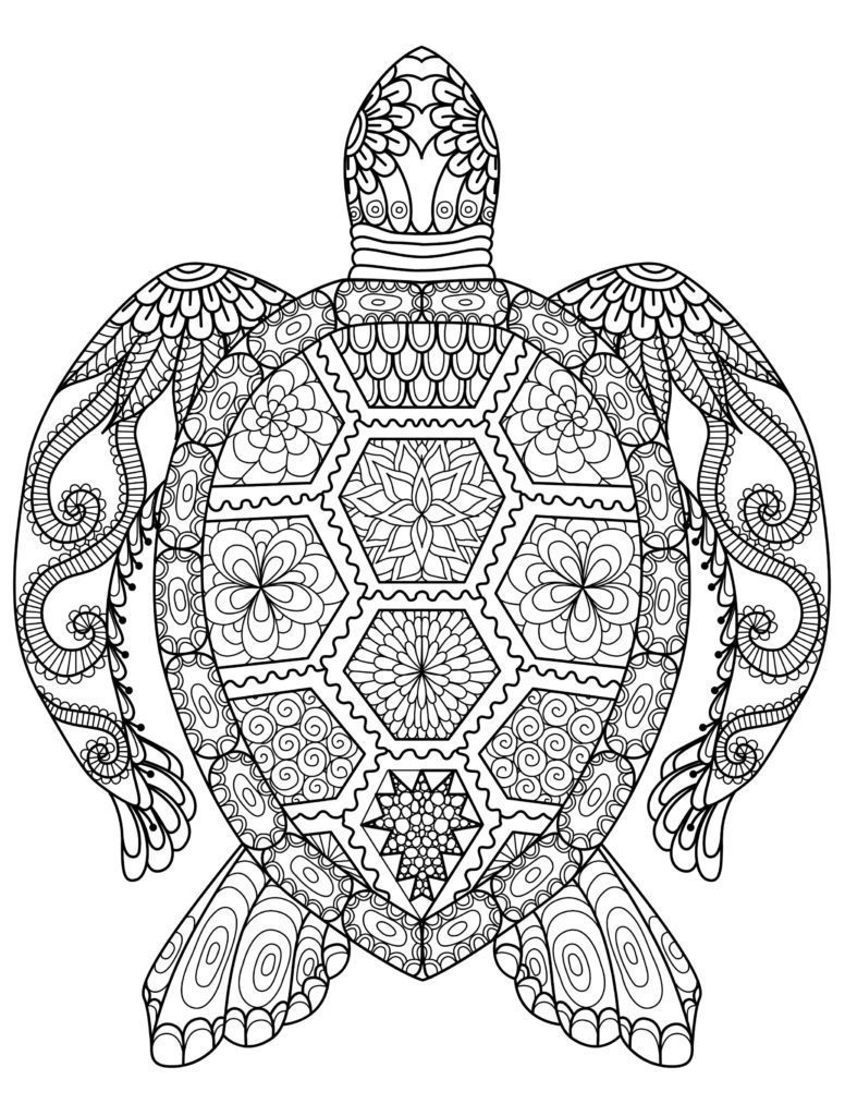 Artistic Turtle Pattern