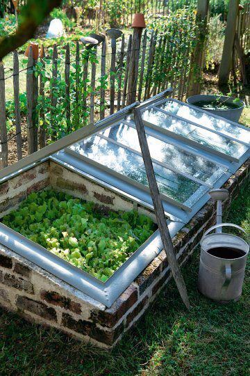 Brick DIY greenhouse besides the fence