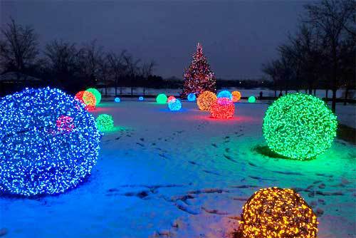 Colorful Christmas Light Balls in front of a Christmas Tree