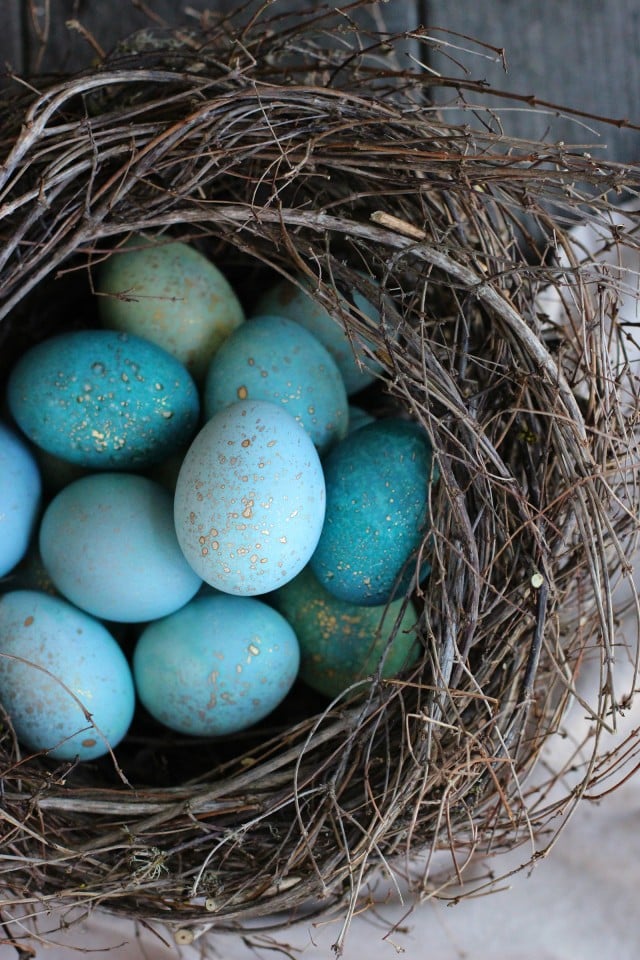 DIY Dyed Robin Eggs in blue color