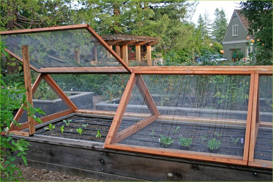 DIY Garden Bed With Irrigation Covered with Screen