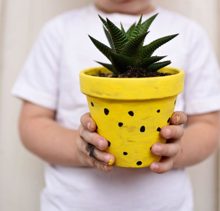 a boy holding a DIY Pineapple Planters in selective focus