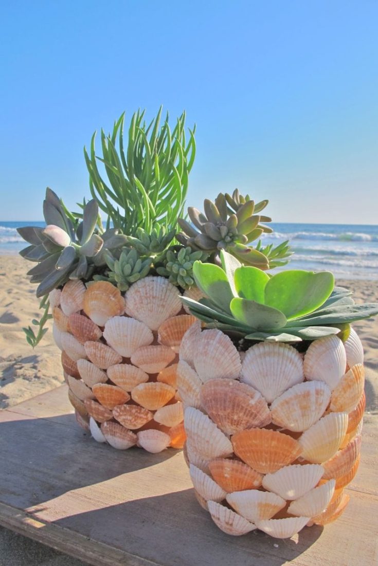 DIY Seashell Planter with beach on the background