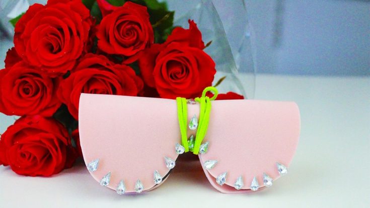 DIY Sunglasses Case with red roses on the background