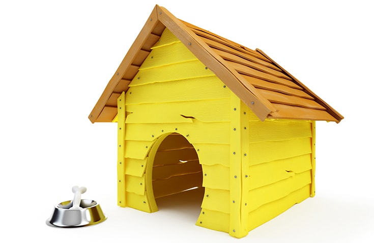 Dog house