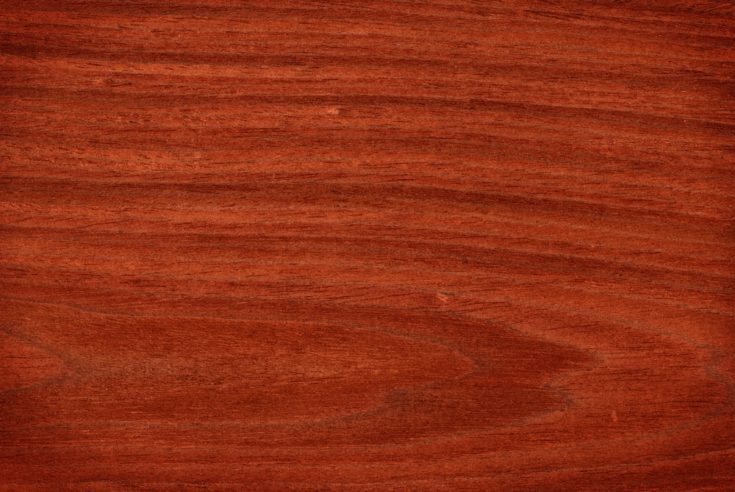 Texture of mahogany (high-detailed wood texture series)