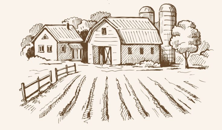 vector image of village and landscape farm