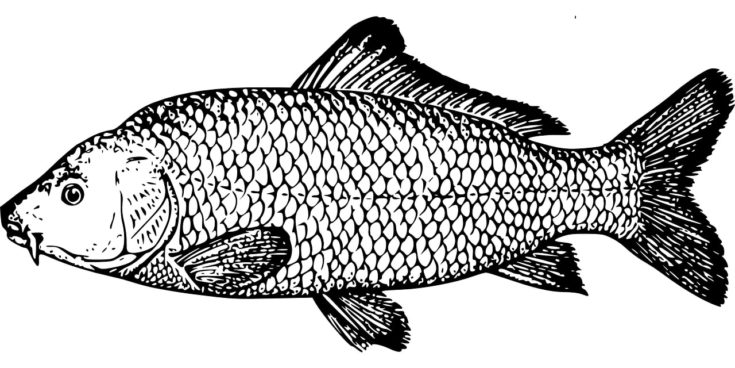 A petit carp fish design black pattern in a white background.