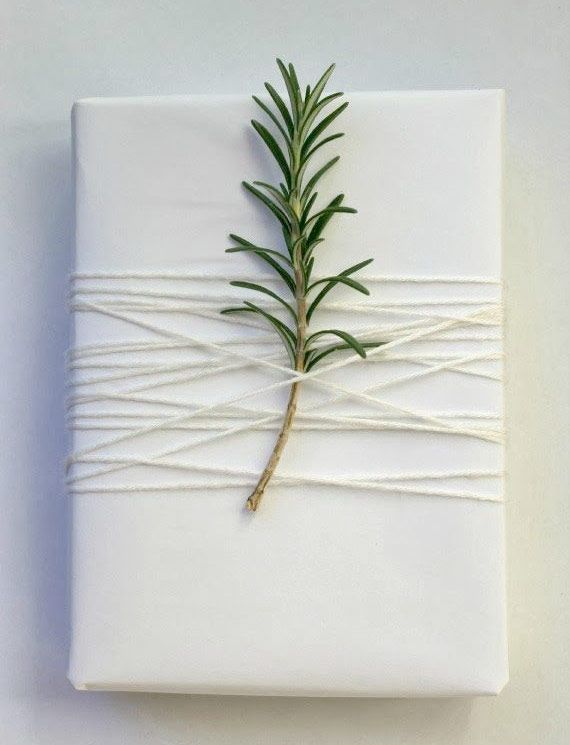 White Christmas Gift Wrapper with fresh pine