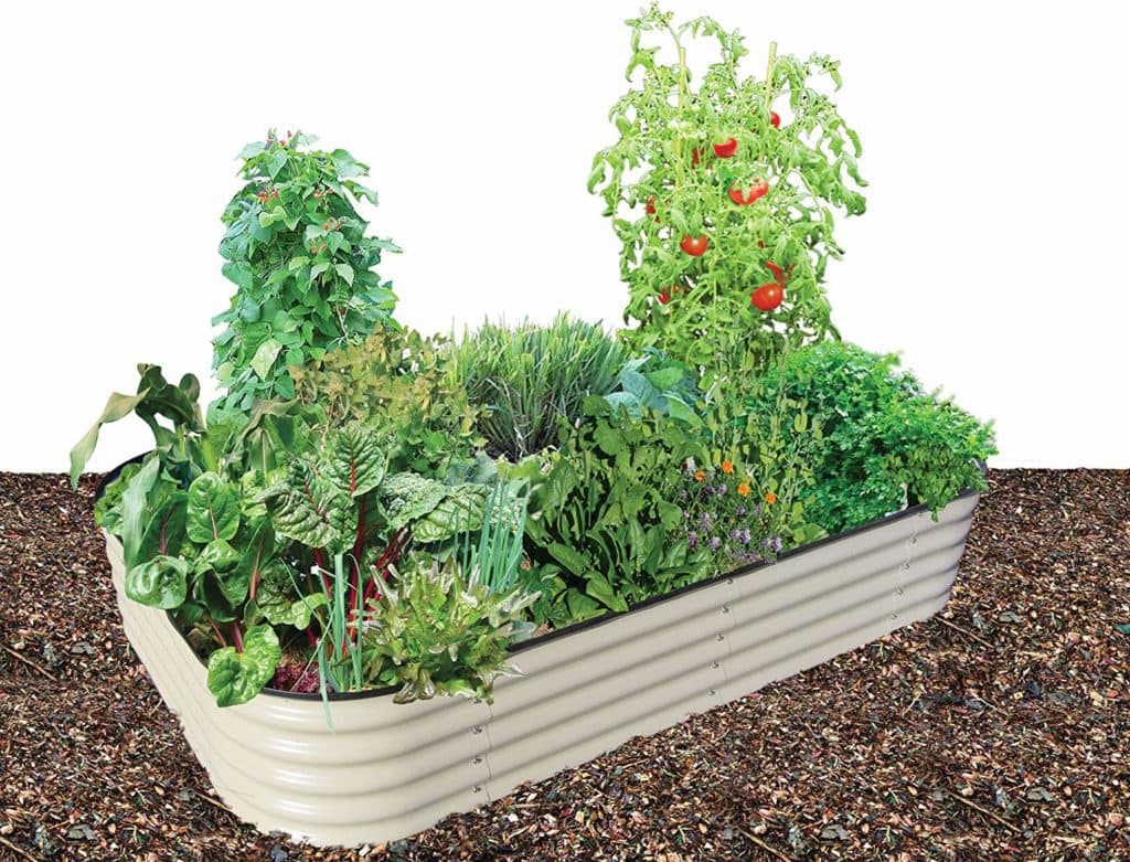 White tin raised garden bed with tomatoes etc