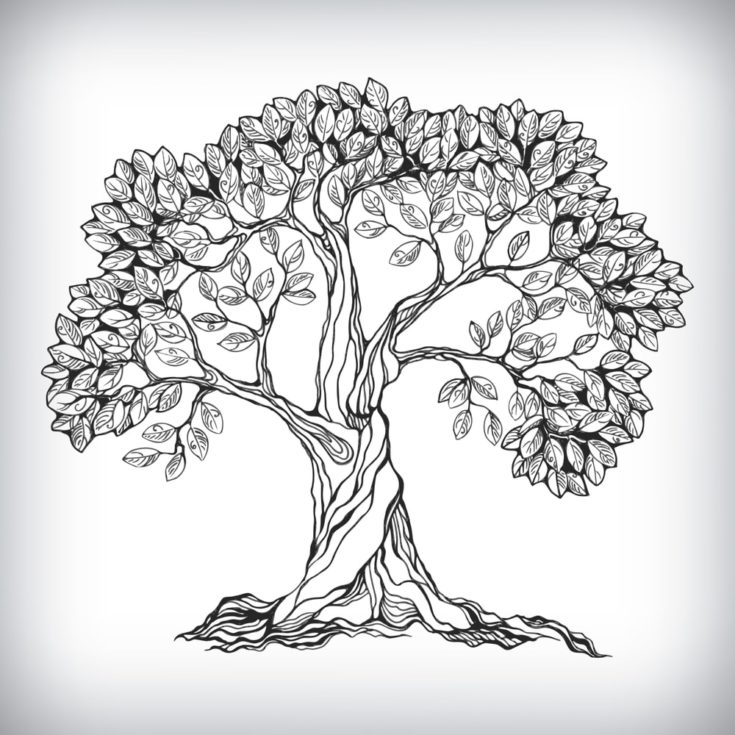 Hand drawn tree symbol isolated vector illustration