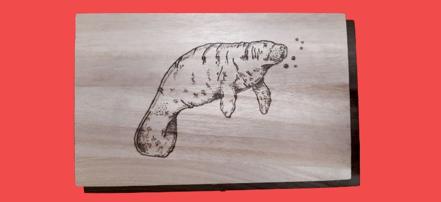 Wood Burning Art in pink background