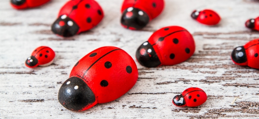 Red Lady Bug Painted Rocks on the table