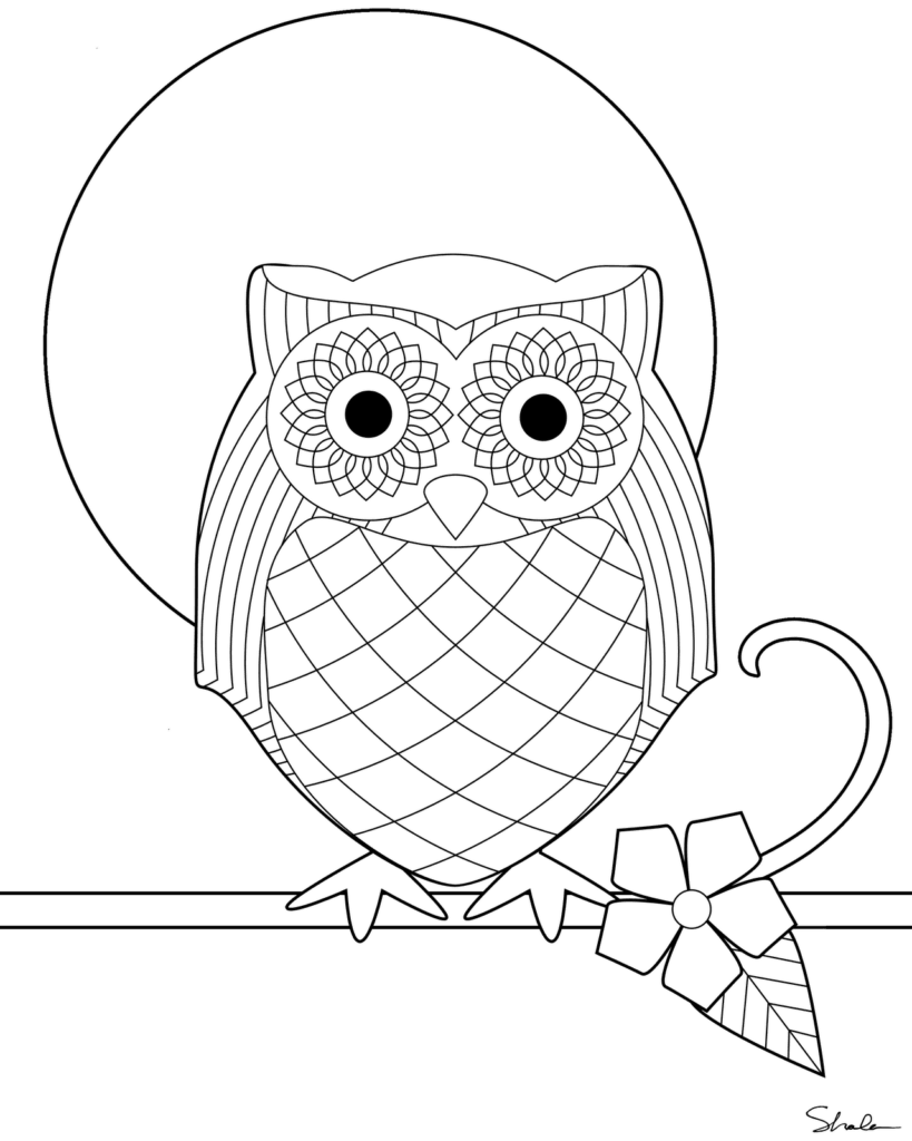 Owl Pattern