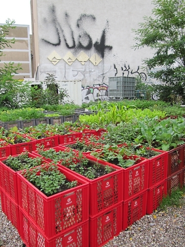 Red Sturdy Plastic Boxes Garden Bed