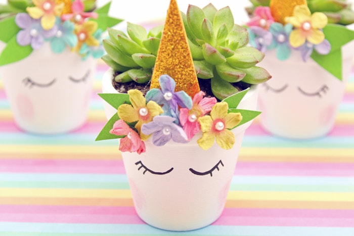 Beautiful unicorn succulent planter planted with succulent.