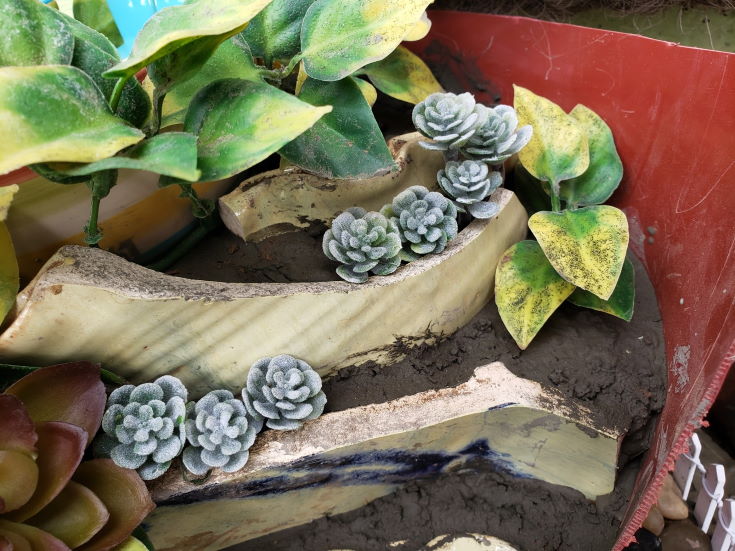 small living succulents, fake plants on the pot