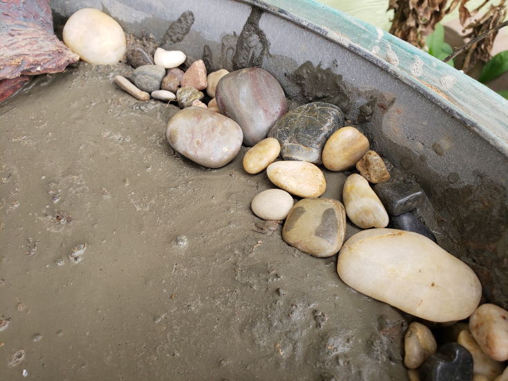 wet soil, River rocks arranged inside the pot