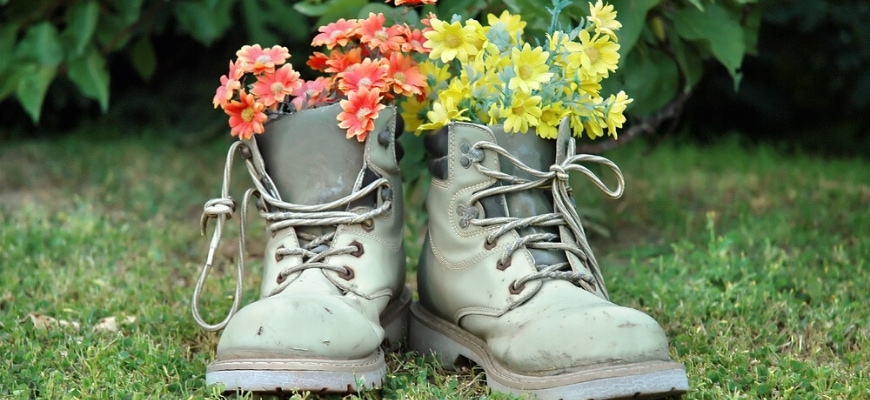 An old shoes made into a flower pot