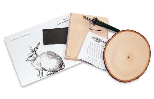 Walnut Hollow Creative Woodburning Kits - Bunny Rabbit