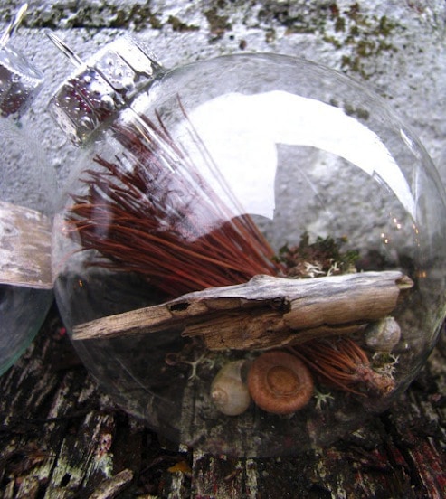 Clear glass ball ornament with wood inside