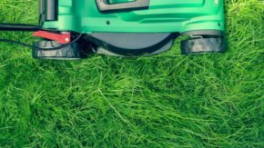 The Best Lawn Mowers for Beautifully Cut St. Augustine Grass