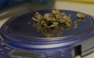 The Best Pocket Scale for Measuring Weed