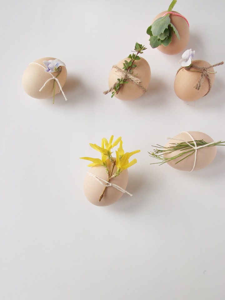 Easter eggs decorated with nature