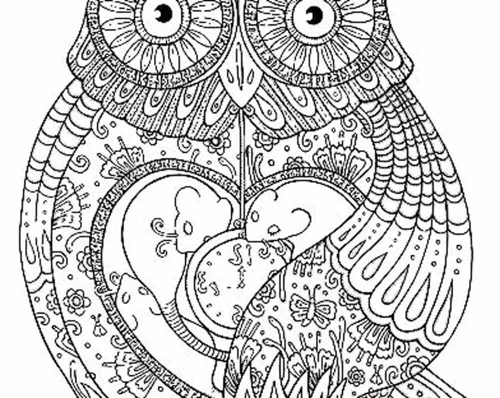 owl pattern for wood burning