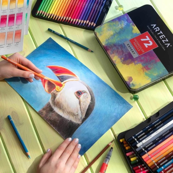 Close up shot of woman's hand holding a watercolor pencil use for coloring the beck of the bird's picture on a green wooden table.