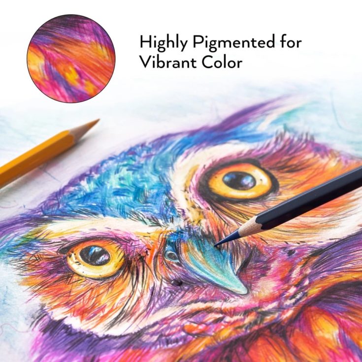 An art sketch of Owl bird using the arte4za watercolor pencil.